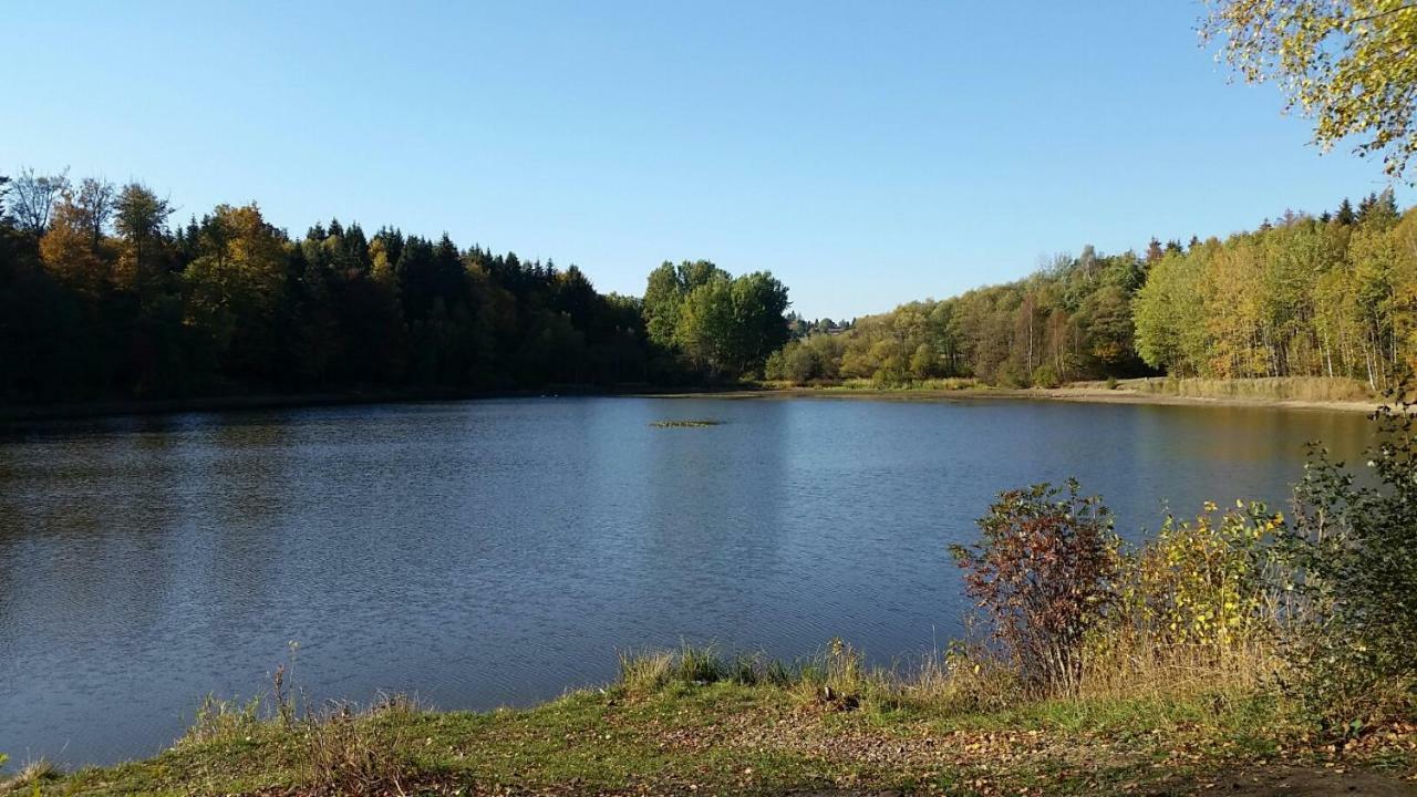 Harzquartier Lejlighed Friedrichsbrunn Eksteriør billede